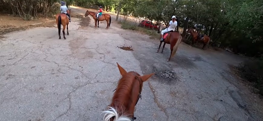 Конная прогулка по Крыму Конная прогулка по Крыму