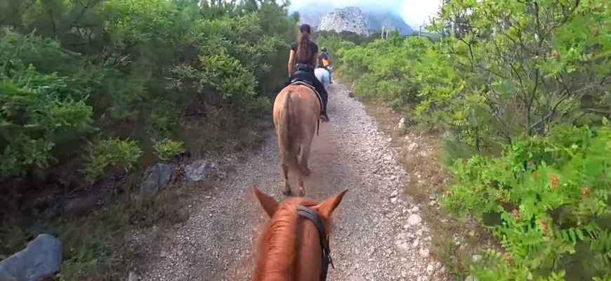 Конный тур по Крыму Конный тур по Крыму